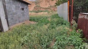 Дилемма!!! Кто из соседей должен косить траву за заборо