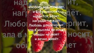 Мы каждый день экзамены сдаём