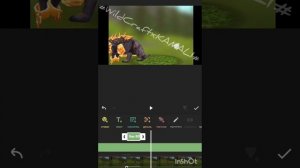 Процесс моего видео