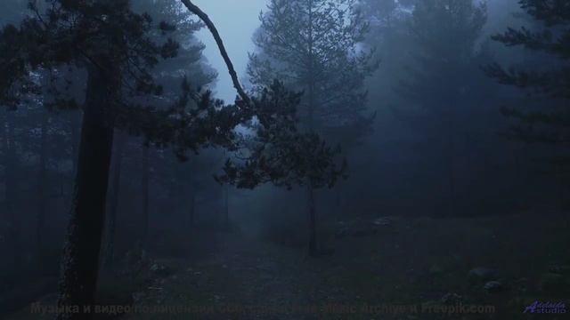 Он идеален, как первый поцелуй под дождем... - light -- Vincent Augustus -- Light
