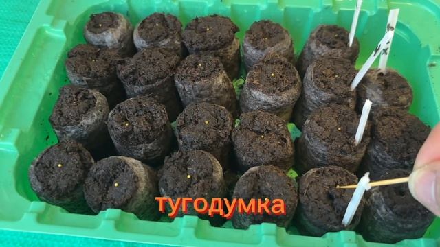 13 декабря 2024 г. смотреть онлайн