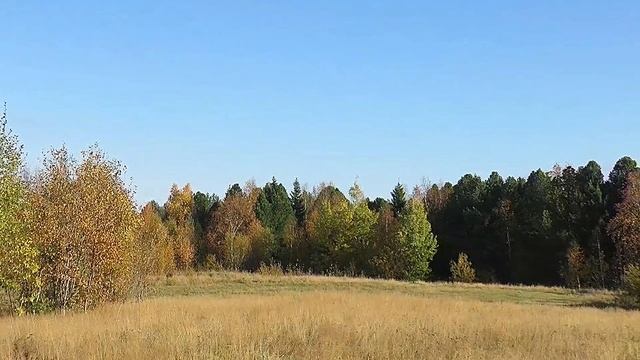 Шеркалы в стиле...