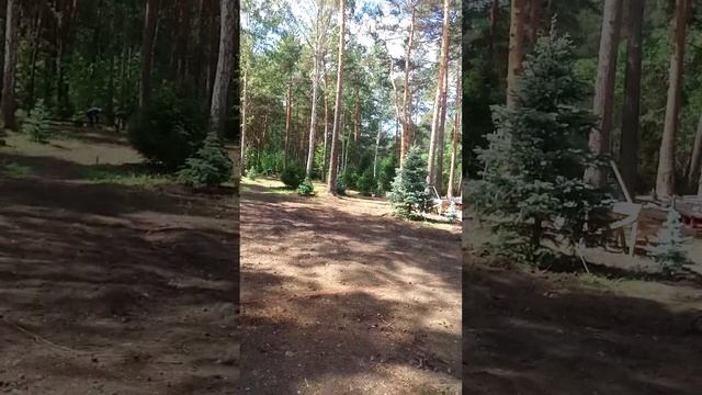 1 часть.Строительство бани и беседки