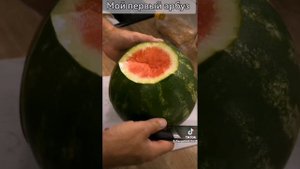 Первый опыт выращивания арбуза в теплице в РБ