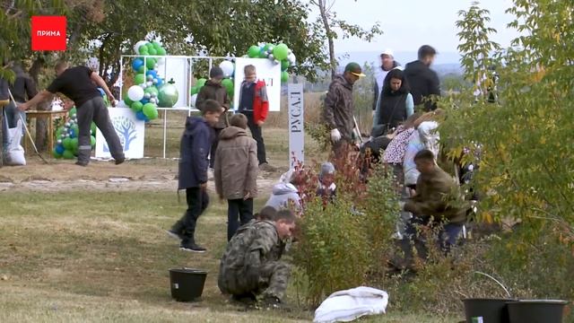Полтысячи новых саженцев высадили на «Зелёном берегу?