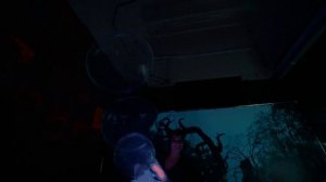 Авторское шоу неоновых мыльных пузырей со спецэффектами Малефисента