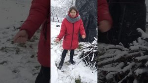 Как спасти сад от возвратных заморозков)))