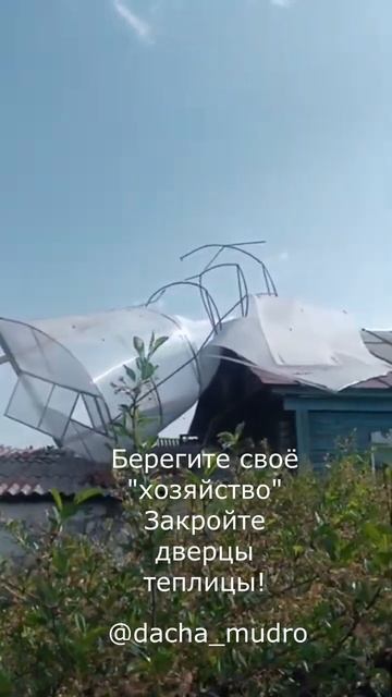 Москва, ураган, 04.07.2024, 4 июля. Берегите свои теплицы! #д? смотреть онлайн