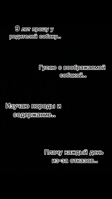 Спасибо за это чудо!😭❤️🩹 #собака #шпиц #шпицмишка #счастье #радость #мояжизнь #мечта #семья