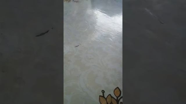 Пальцы танцуют Первый танец
