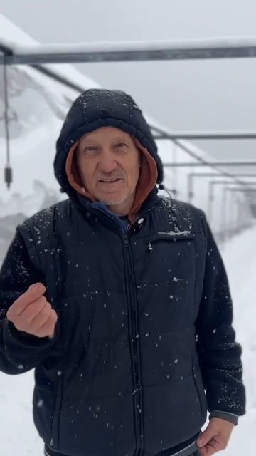 Можно ли вырастить виноград из косточки? #виноградуль? смотреть онлайн