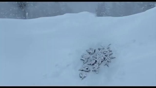 Лепит Снеговиков Из Пропавших Женщин... "Снеговик" 2017 Фильм нашем телеграм канале смотреть онлайн