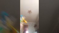 VID_20250507_162853.mp4