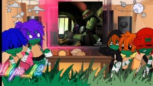 Реакция черепашек ниндзя 1/?