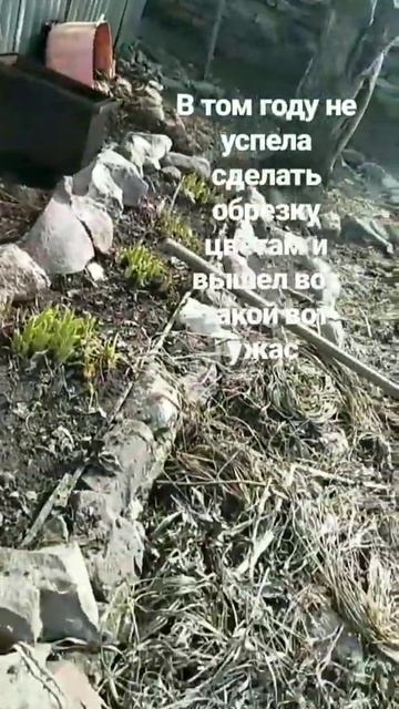 Весенние работы по ландшафту