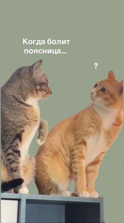 И работать с тазом‼️