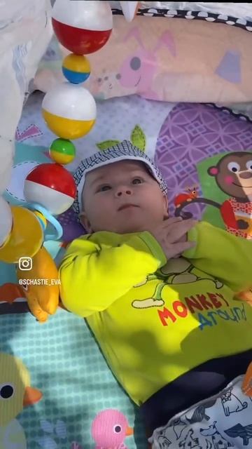 Общими усилиями высадили огород #деревня #жизньвдерев смотреть онлайн