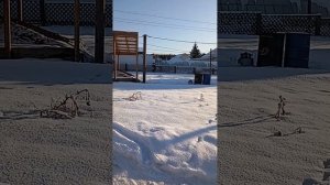 Зимняя теплица,как зарабатываю деньги ,Иркутск ,89086553950