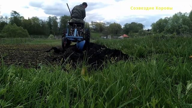 Картофель. Посадка. Плуг. Окучник. 2024 смотреть онлайн