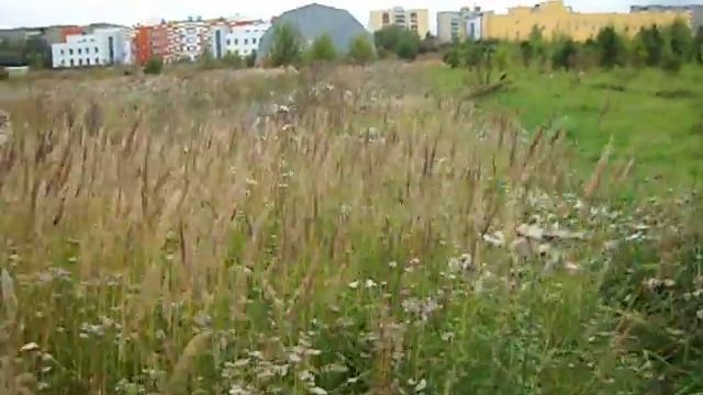 Подведение итогов работы подряд.организаций за 3 лет м смотреть онлайн