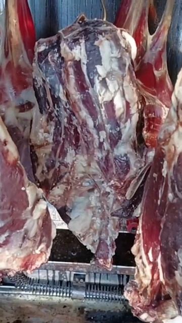 Приготовил Идеальный Бараний Окорок 🍗 #коптильня #ед? смотреть онлайн