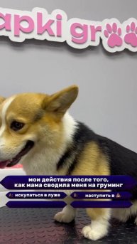 Викторина, которую пройдут не все