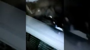 Кто лучше дарт вейдер Ильи Билл шифр если Билл лайк а если дарт вейдер подписка