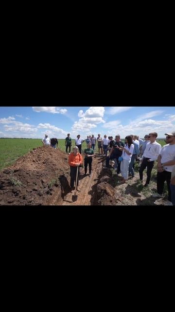 Почему это не южный чернозем? #точноеземледелие #farming #?