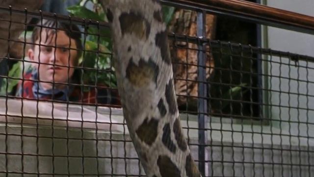 Гарри Поттер и ФК - Магазин (смешной перевод Борода&Пиво) смотреть онлайн