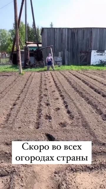 Актуальный вопрос! Сколько соток в этом году засадить смотреть онлайн