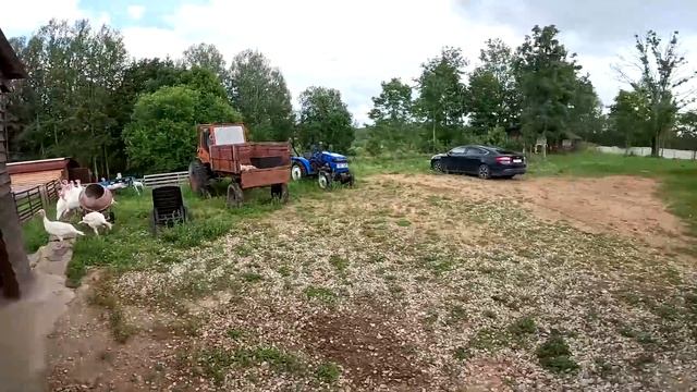 ОН ХОТЕЛ НАПАСТЬ НО ВОЛКОДАВ УБИЛ ЕГО ! ЗАЛИВАЮ ТЕПЛЫЙ смотреть онлайн