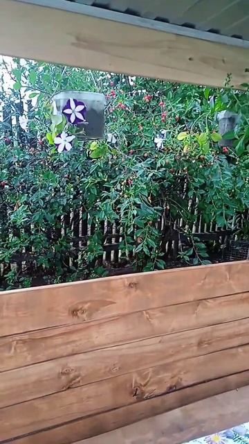 Наша летняя беседка смотреть онлайн