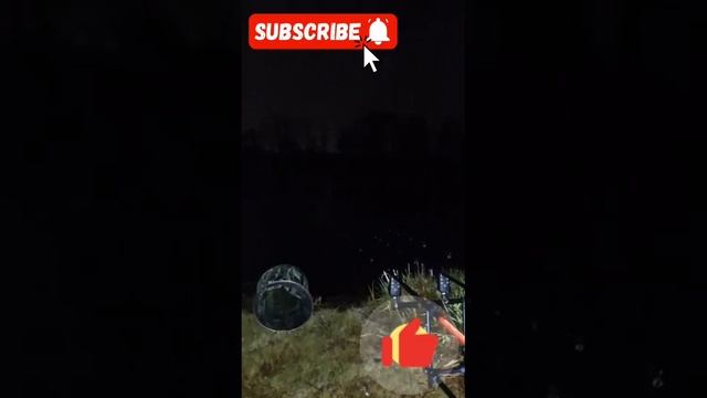 1000007919.mp4