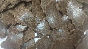 жмых расторопши