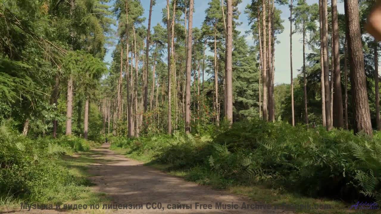 Мелодия двигает облака прямо на ваших глазах - Dutiligi -- Mello C -- Concept Beats Vol. 4 Nobaraso