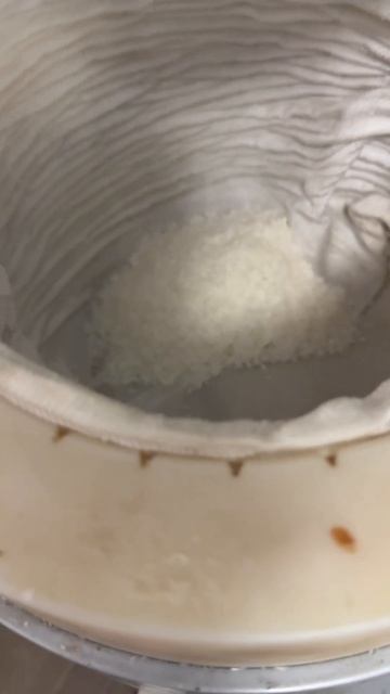 От качества семян зависит качество сыродавленного ма? смотреть онлайн