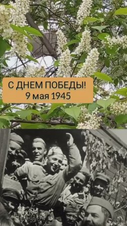 Мой бессмертный полк....