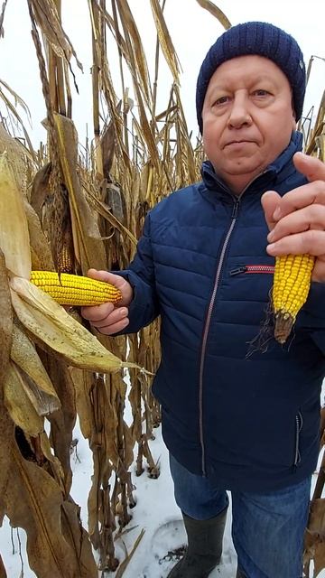 Хочешь знати більше? Реструйся на вебінар. Реєстрація в описі цього відео. смотреть онлайн