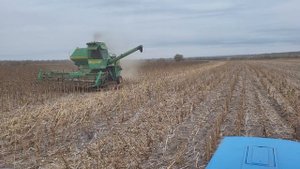 Сев озимой пшеницы и уборка подсолнечника