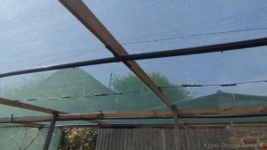 Рассадник - Бюджет и Практичность. Рассада Клубники 2024