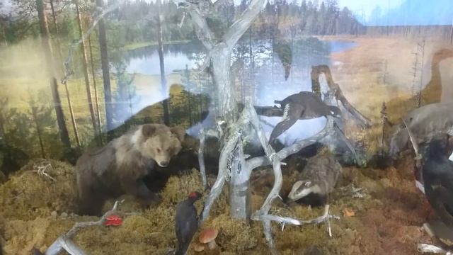 Экспозиция в музее (Кивач) смотреть онлайн