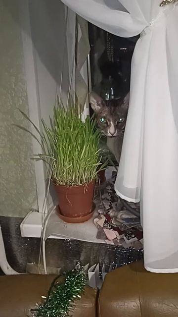 козёл в огороде смотреть онлайн