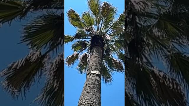 Дорога к морю #япою