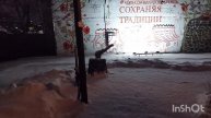 Прокатаюсь на колесе обозрения. Пробираюсь сквозь суг