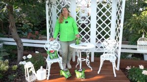 Газон своими руками: как выбрать семена, сколько време