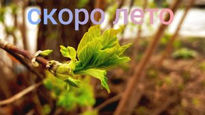 скоро лето!