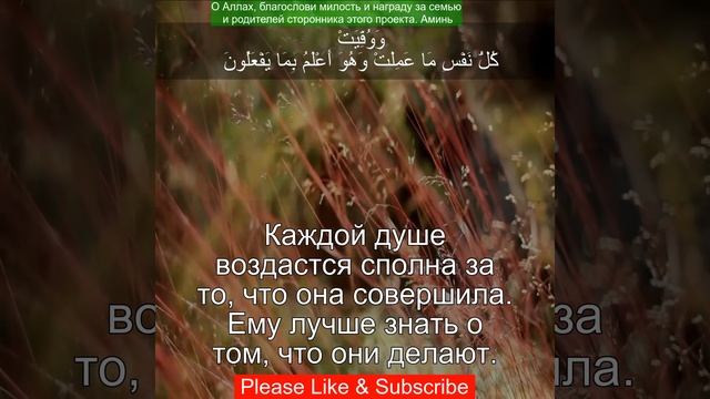 Коран Сура Аз-Зумар | 39:70 | Чтение Корана с русским пере?