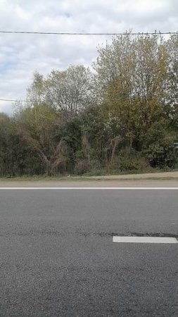 еду в Химках 11часть
