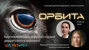 ОРБИТА с Анастасией Курындиной и Анастасией Мачульской