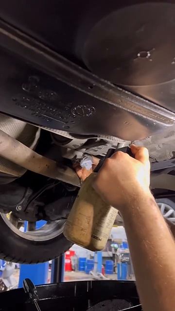 ТО Халдекс-5🫣#онлишкода #onlyskoda #тохалдекс #халдекс5 #ав? смотреть онлайн